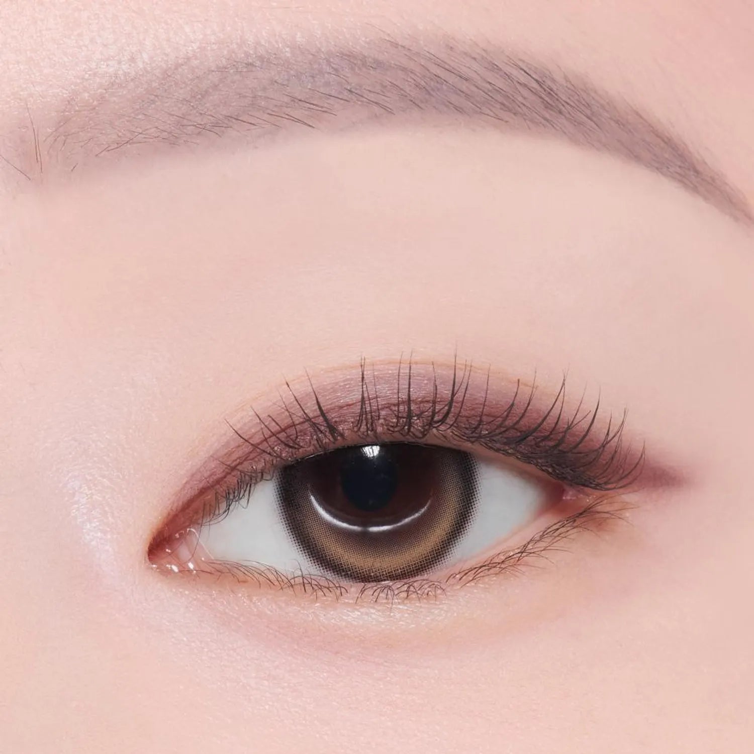 [1+1 Deal] Etude - What's In My Eyes