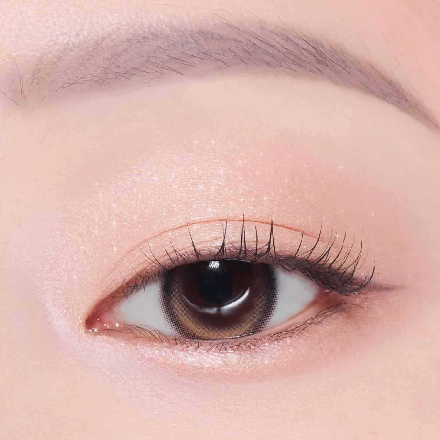 [1+1 Deal] Etude - What's In My Eyes