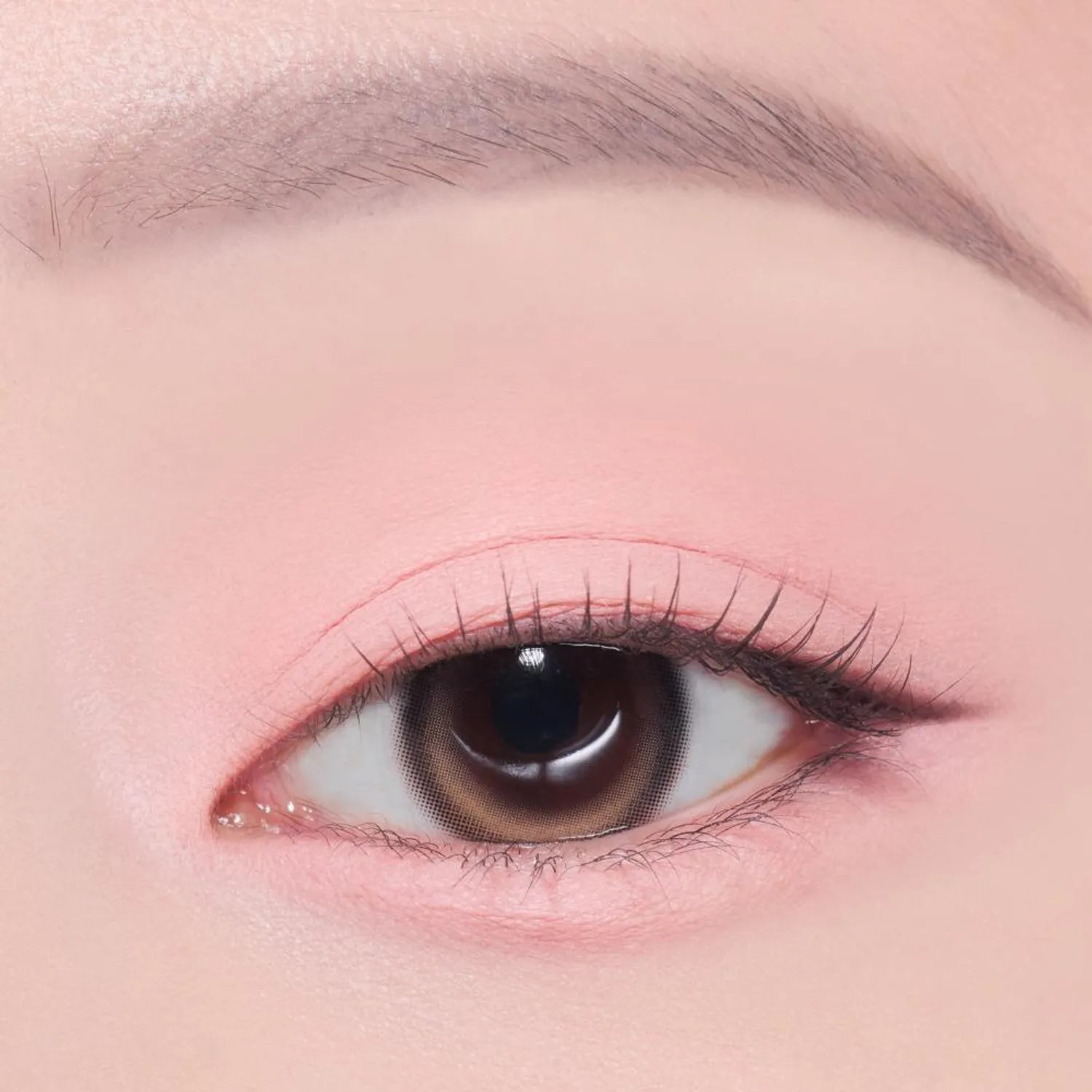 [1+1 Deal] Etude - What's In My Eyes