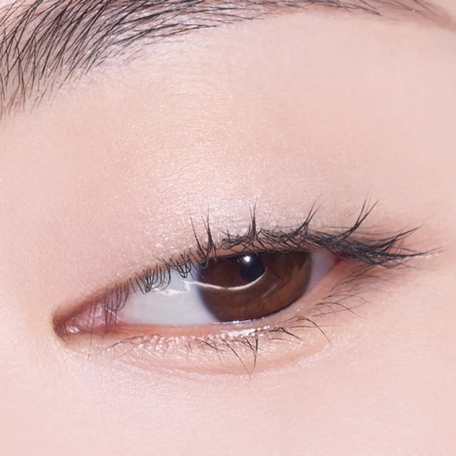 [1+1 Deal] Etude - What's In My Eyes