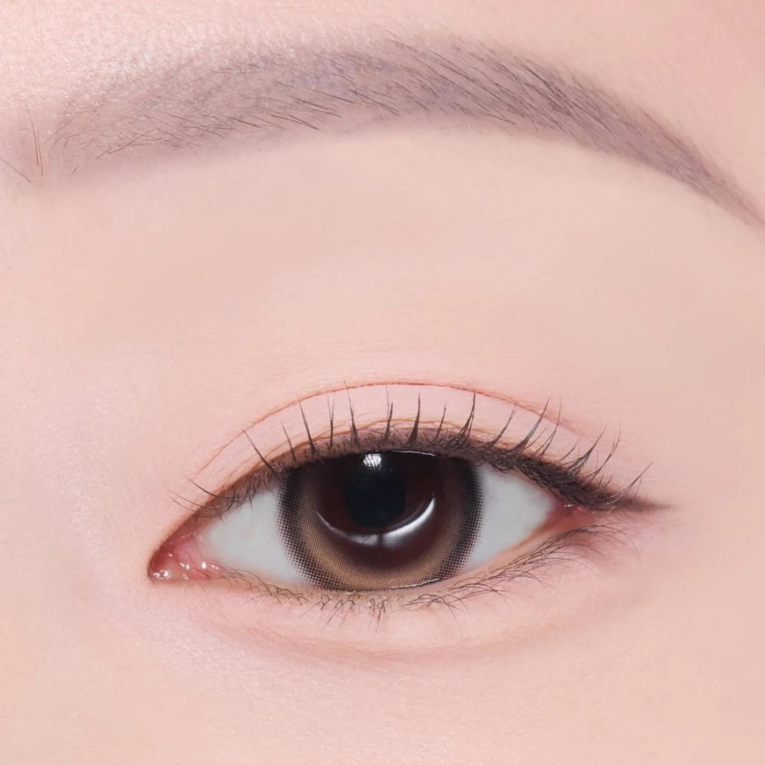 [1+1 Deal] Etude - What's In My Eyes