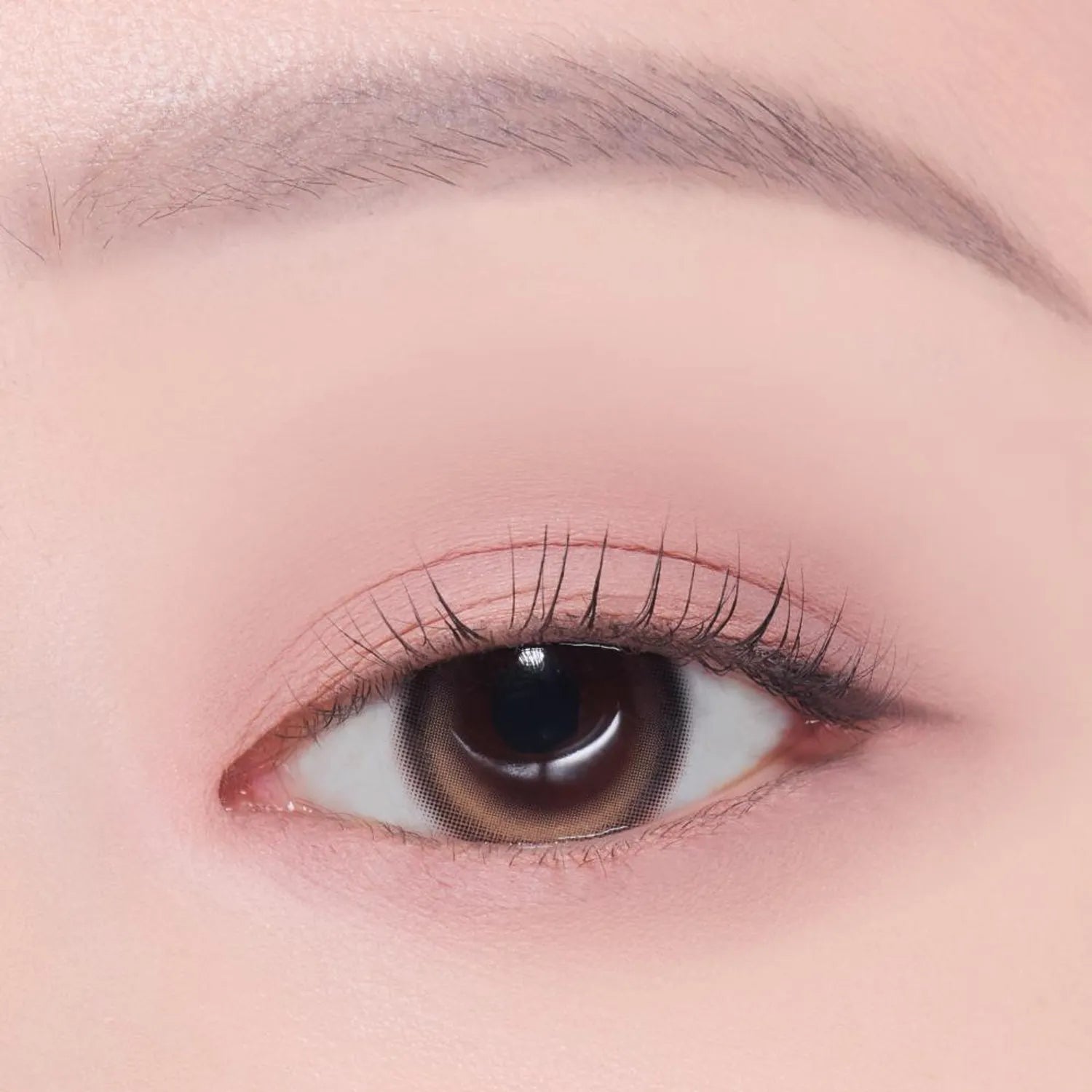 [1+1 Deal] Etude - What's In My Eyes