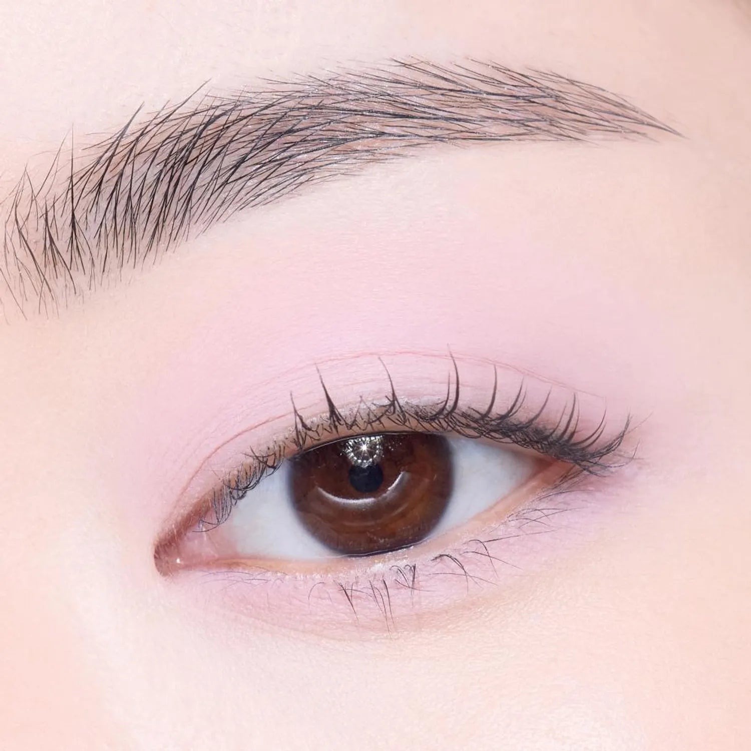 [1+1 Deal] Etude - What's In My Eyes