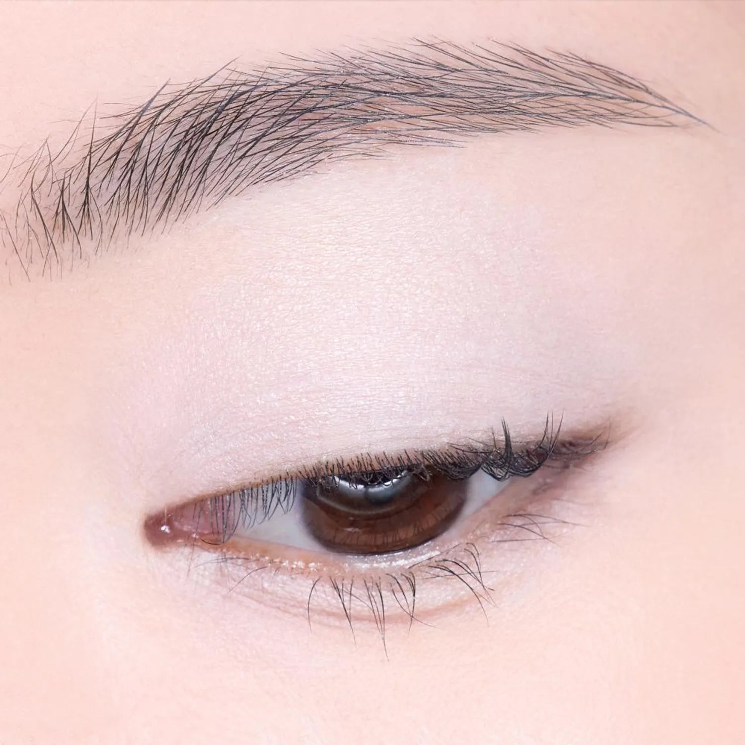 [1+1 Deal] Etude - What's In My Eyes