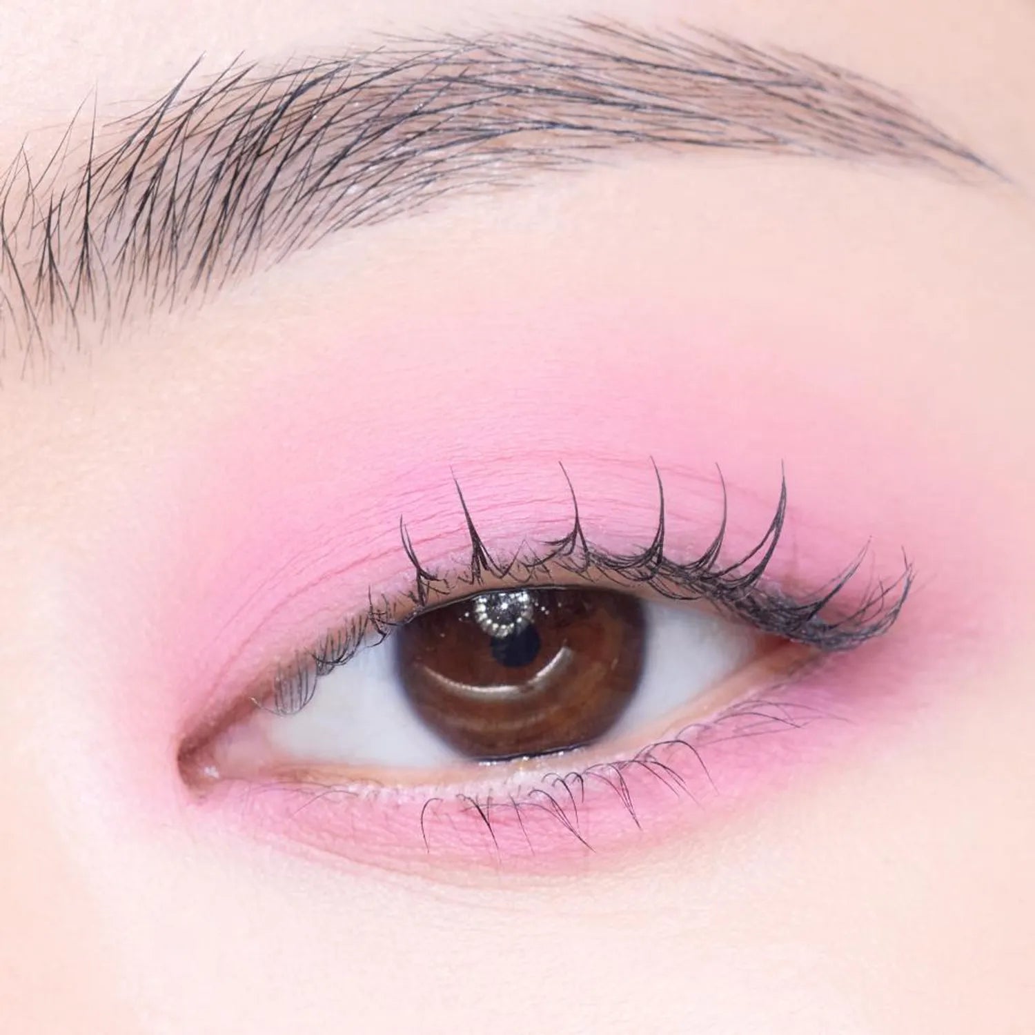 [1+1 Deal] Etude - What's In My Eyes