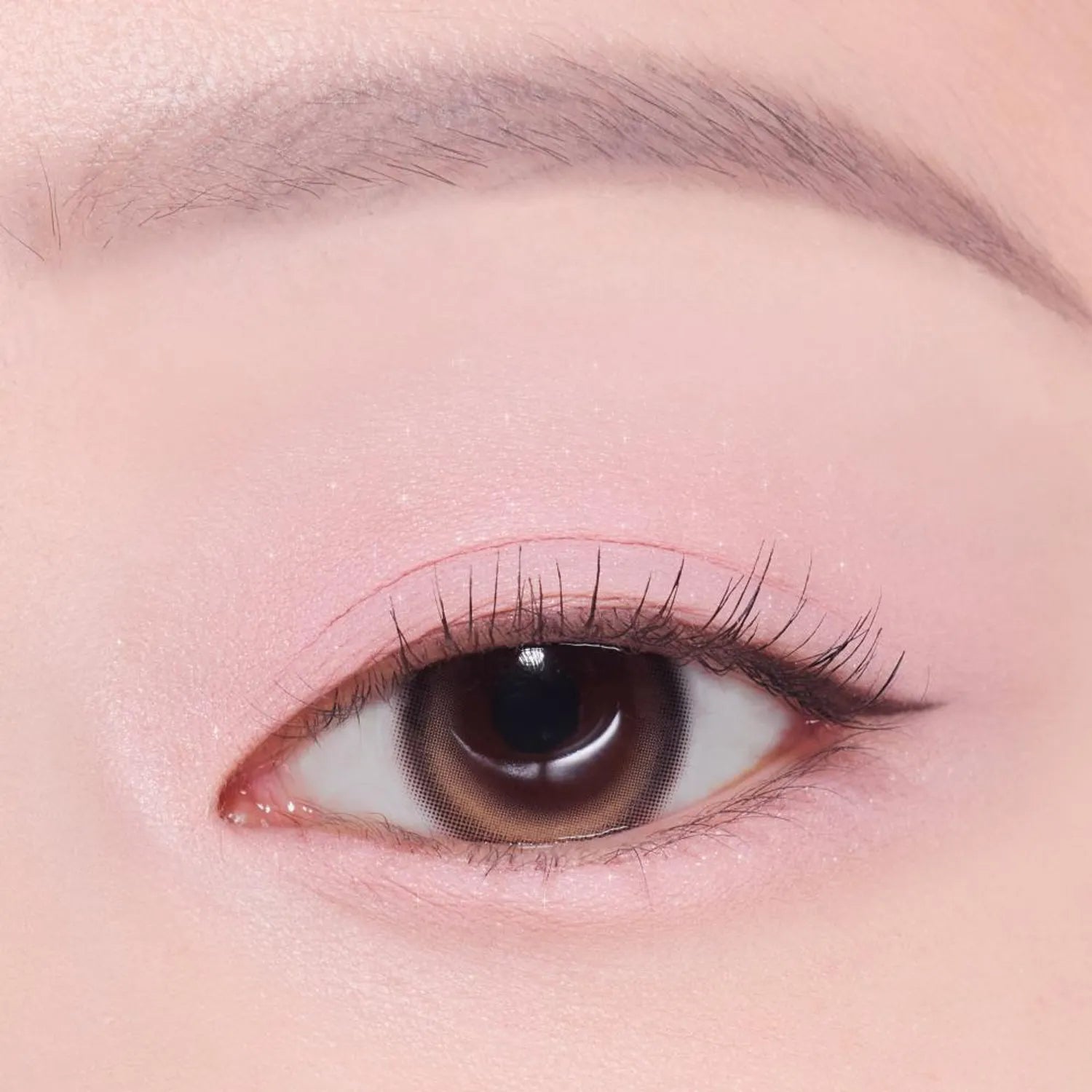 [1+1 Deal] Etude - What's In My Eyes