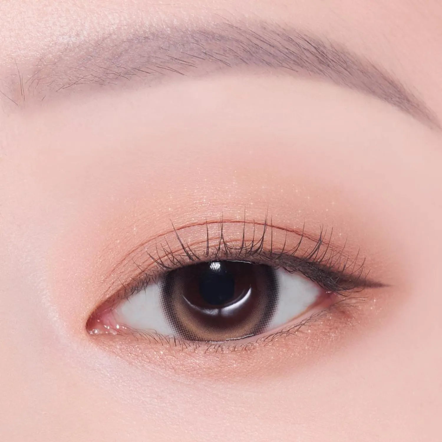 [1+1 Deal] Etude - What's In My Eyes