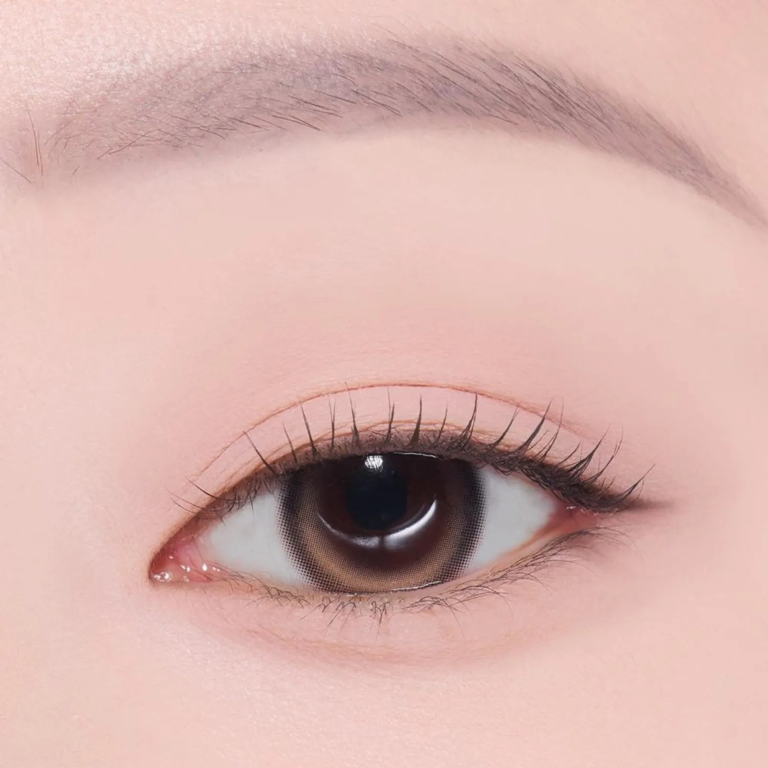 [1+1 Deal] Etude - What's In My Eyes