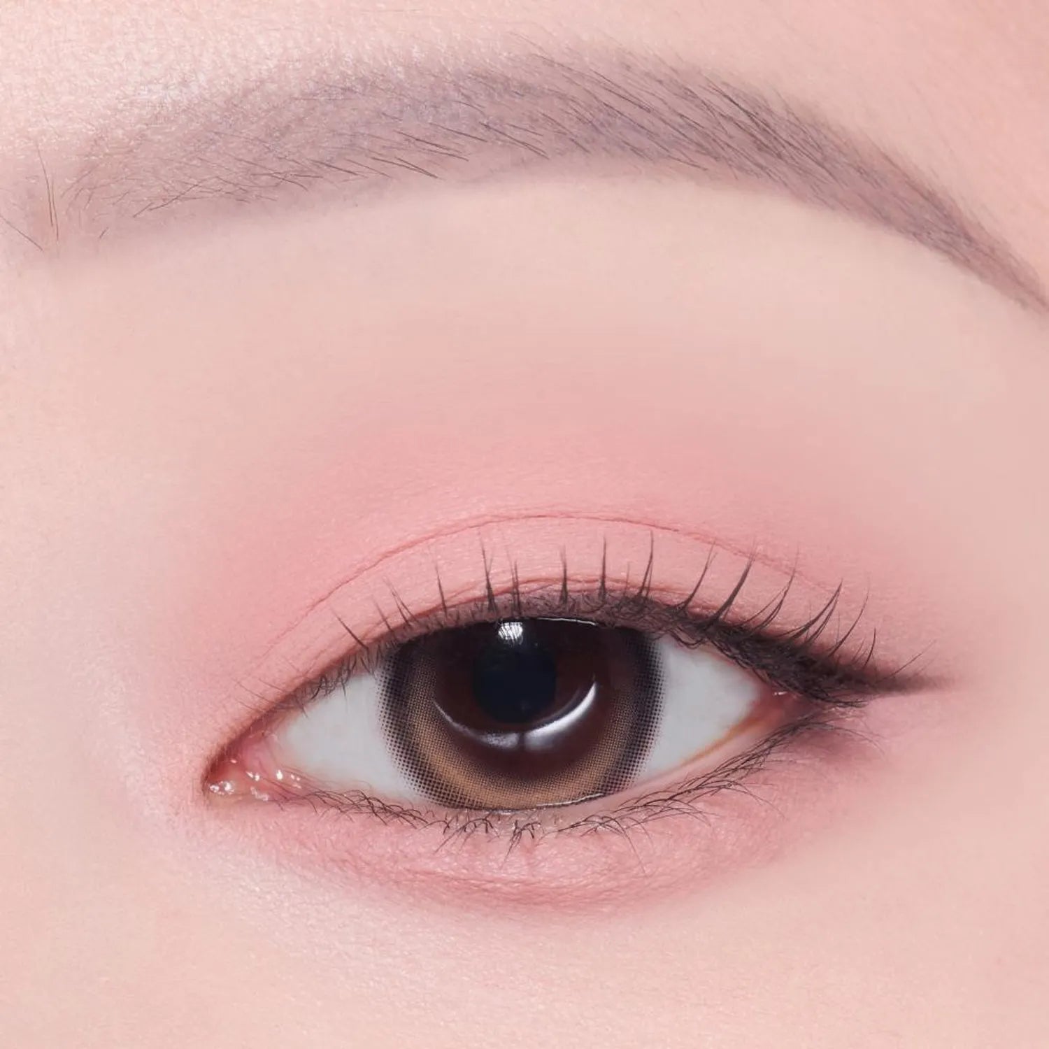 [1+1 Deal] Etude - What's In My Eyes