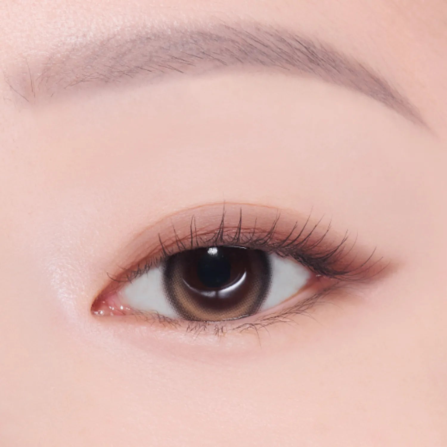 [1+1 Deal] Etude - What's In My Eyes