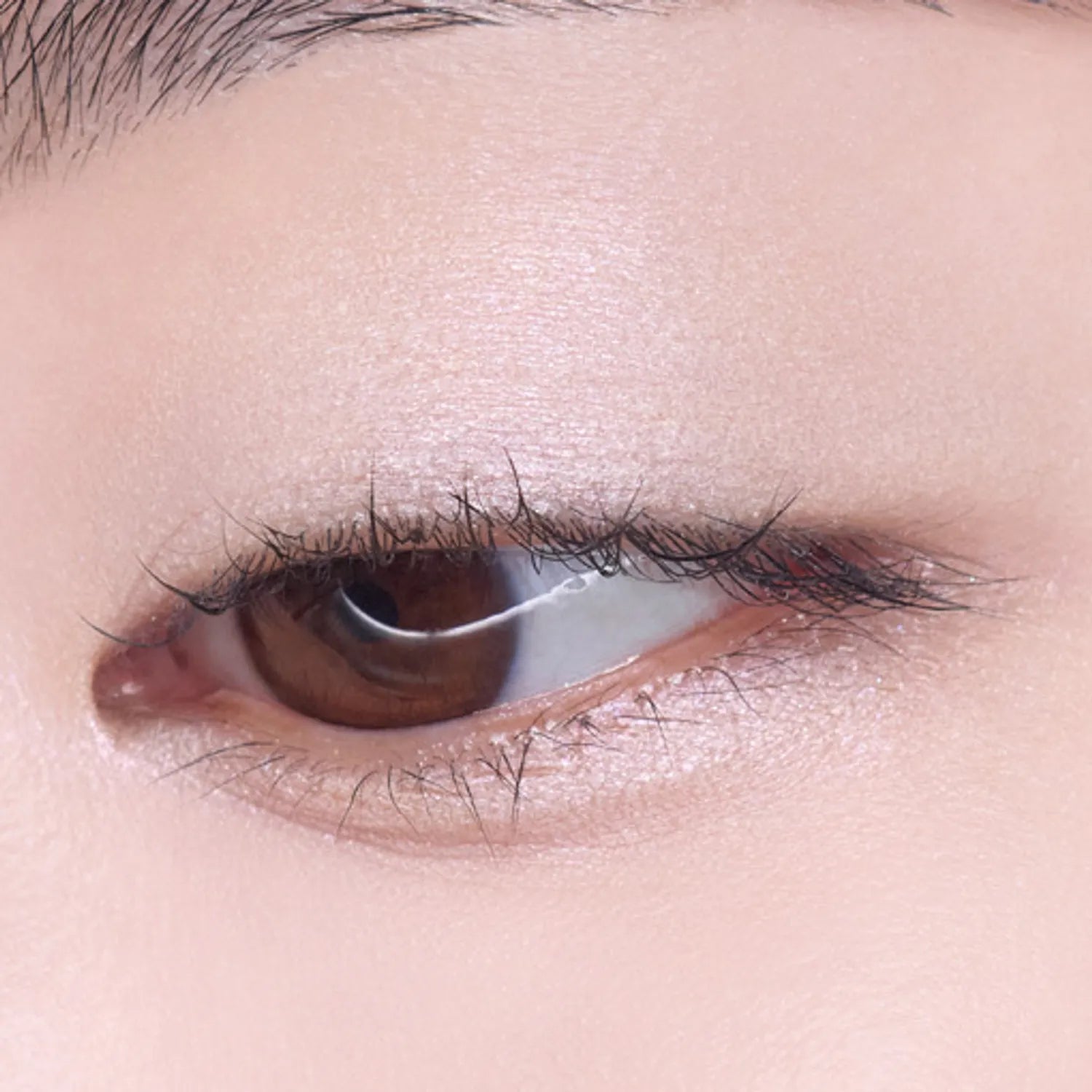 [1+1 Deal] Etude - What's In My Eyes