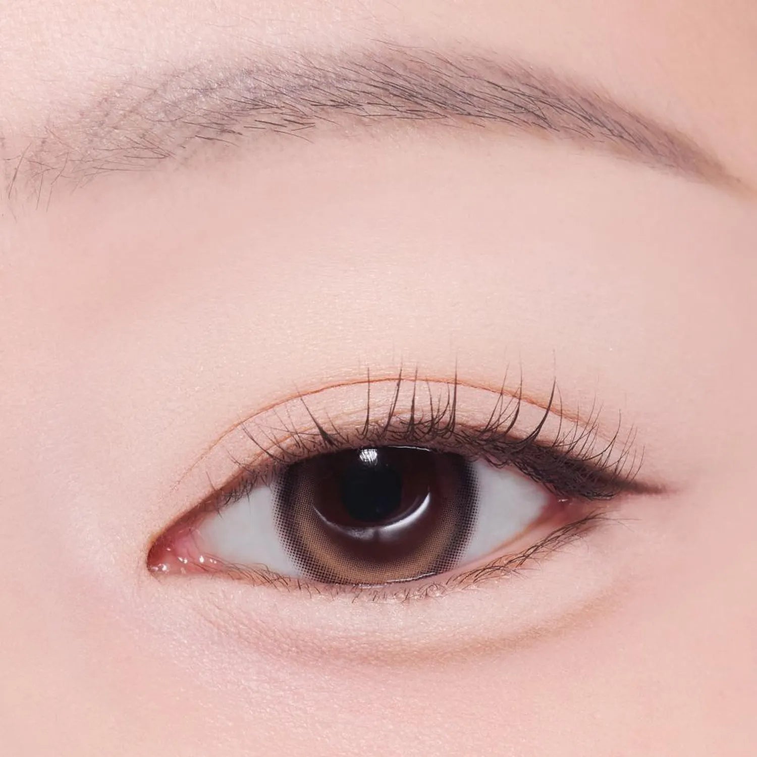 [1+1 Deal] Etude - What's In My Eyes